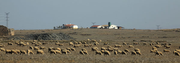 Langs de oude mijnweg